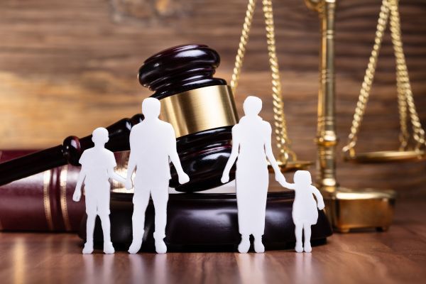 Delitos Contra los Derechos y Deberes Familiares​